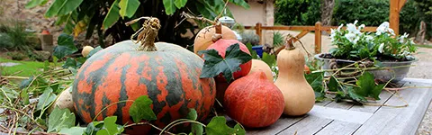 Saveurs d'automne en Aveyron