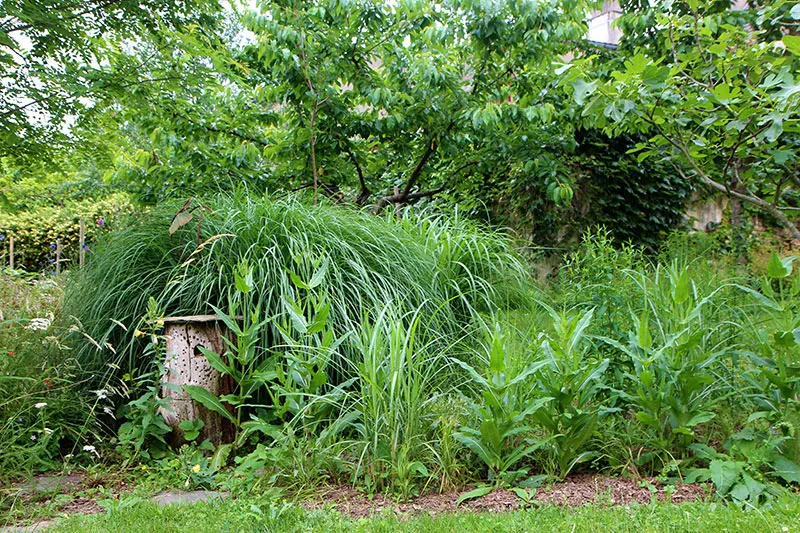 Jardin en mouvement en Aveyron