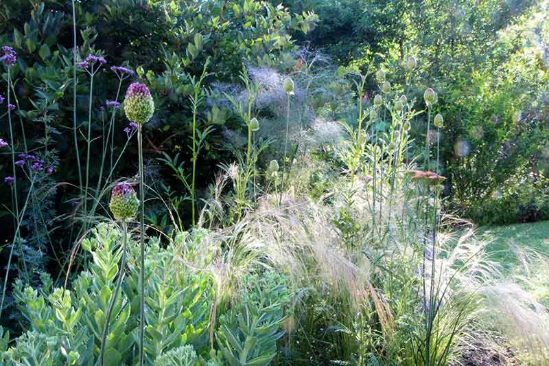 Jardin fleuri toute l'année, coin de repos, fruits à grapiller